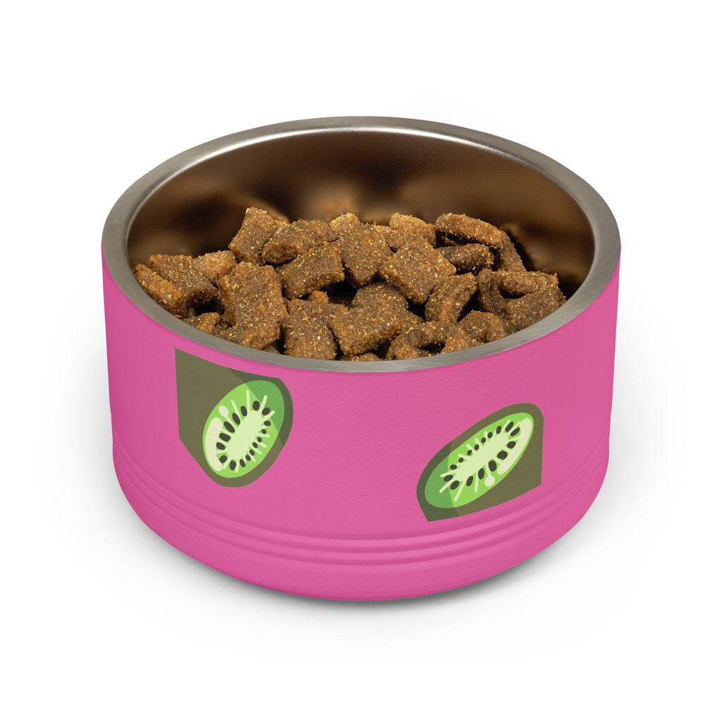 Kiwi Pattern Pet Bowl — 18oz Stainless Steel Cat & Dog Food Dish