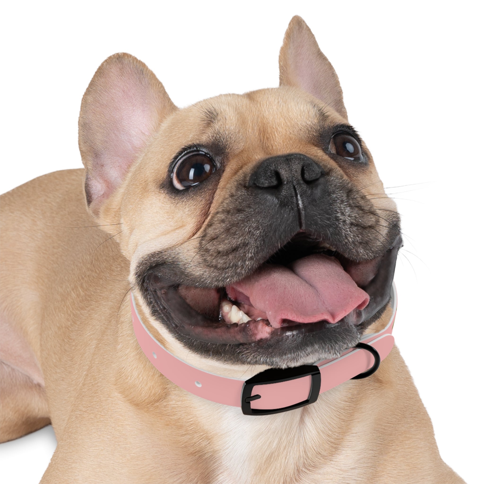 Cherry Print Dog Collar – Cute Pink Pet Collar for Small Dogs