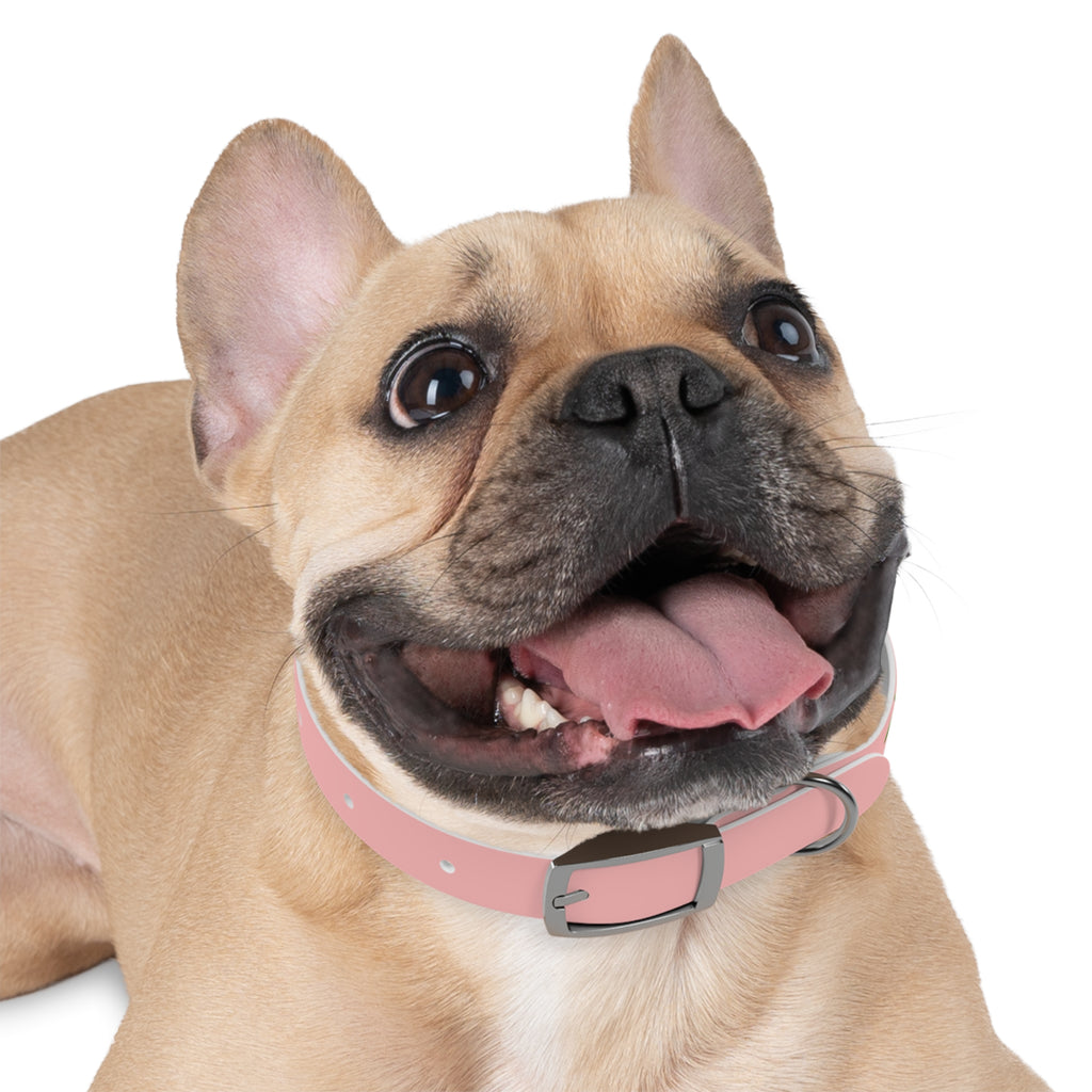 Cherry Print Dog Collar – Cute Pink Pet Collar for Small Dogs