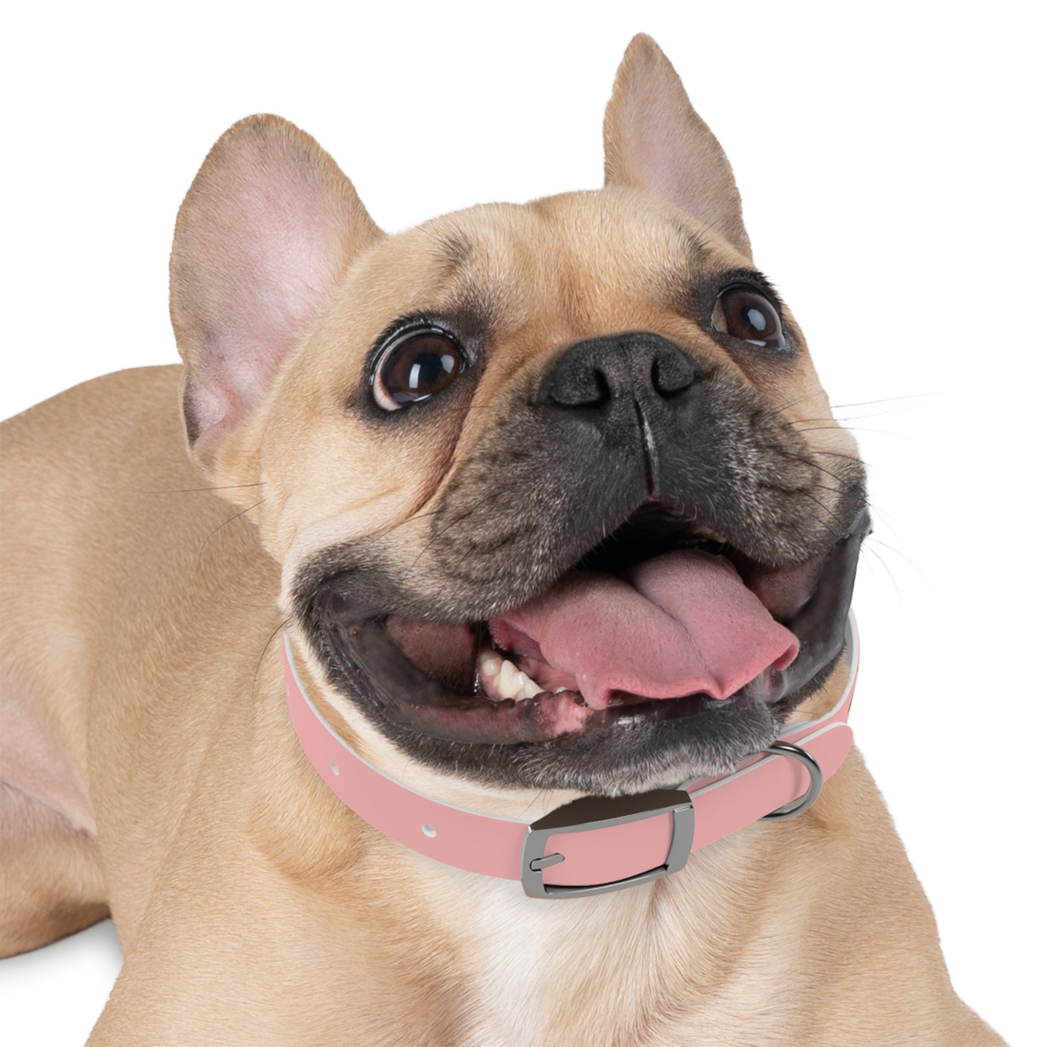 Cherry Print Dog Collar – Cute Pink Pet Collar for Small Dogs